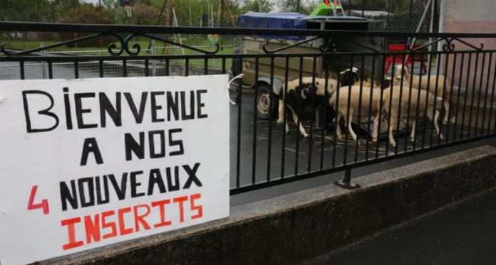 « Puisque nos enfants sont comptÃ©s comme des moutons, autant pousser lâ€™absurditÃ© du raisonnement jusquâ€™au bout », souligne LoÃ¯c Firtion, prÃ©sident de lâ€™association des parents dâ€™Ã©lÃ¨ves. (Photo Laurent Mami)